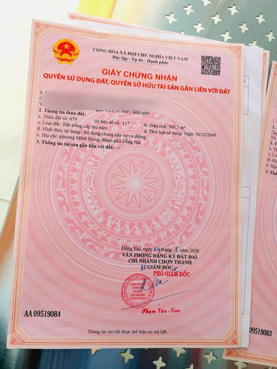 Bán đất 500m2, mặt tiền 13m, Phường Minh Long, Nhà Bè - Ảnh thu nhỏ 3