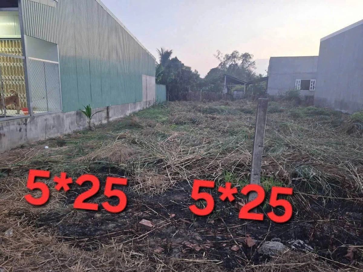 Bán lô đất thổ 250m² Xã Mỹ Phú, Thủ Thừa, Long An - Ảnh thu nhỏ 4