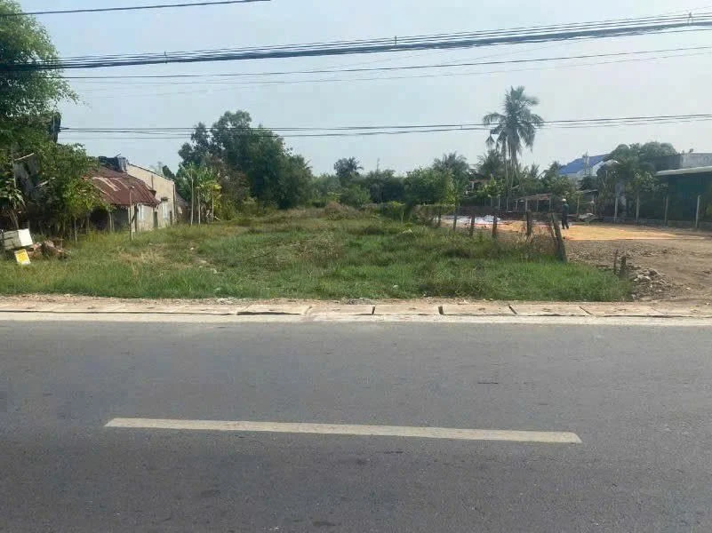 Bán đất mặt tiền QL 22 Gò Dầu, 1300 m² giá 4,8 tỷ - Ảnh 1