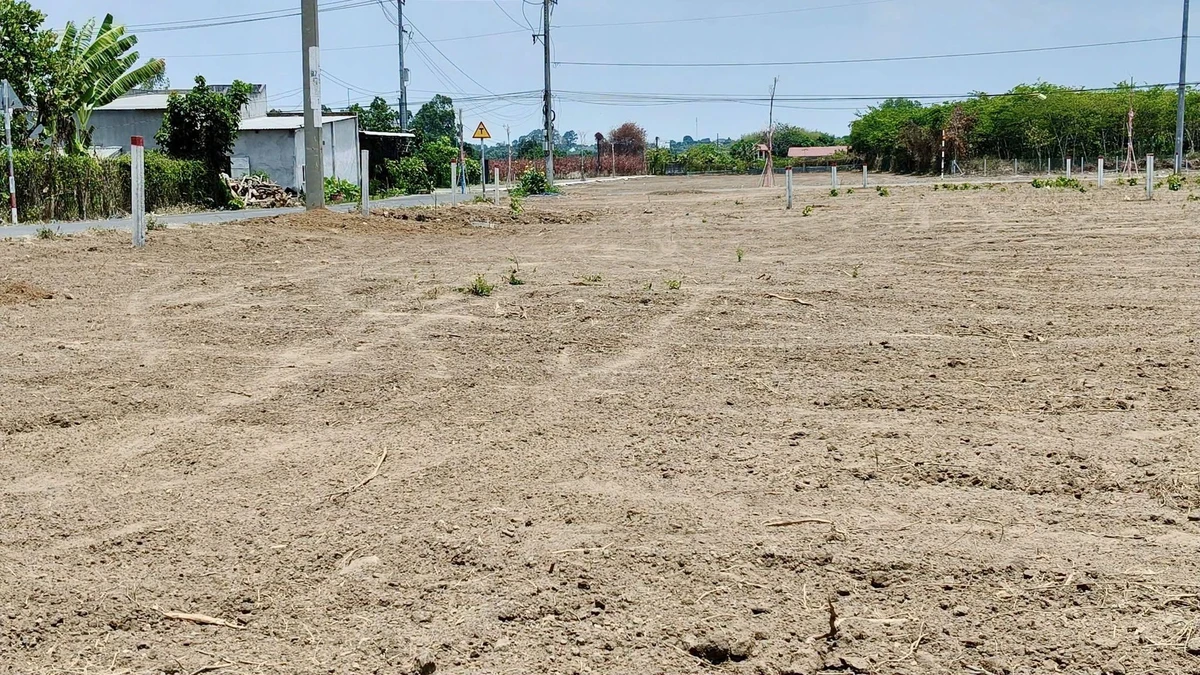 Bán 207m2 đất mặt tiền Nguyễn Huệ, Xã Đất Đỏ - 1 tỷ 139 triệu - Ảnh thu nhỏ 5