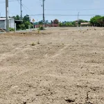 Bán 207m2 đất mặt tiền Nguyễn Huệ, Xã Đất Đỏ - 1 tỷ 139 triệu - Ảnh thu nhỏ 5