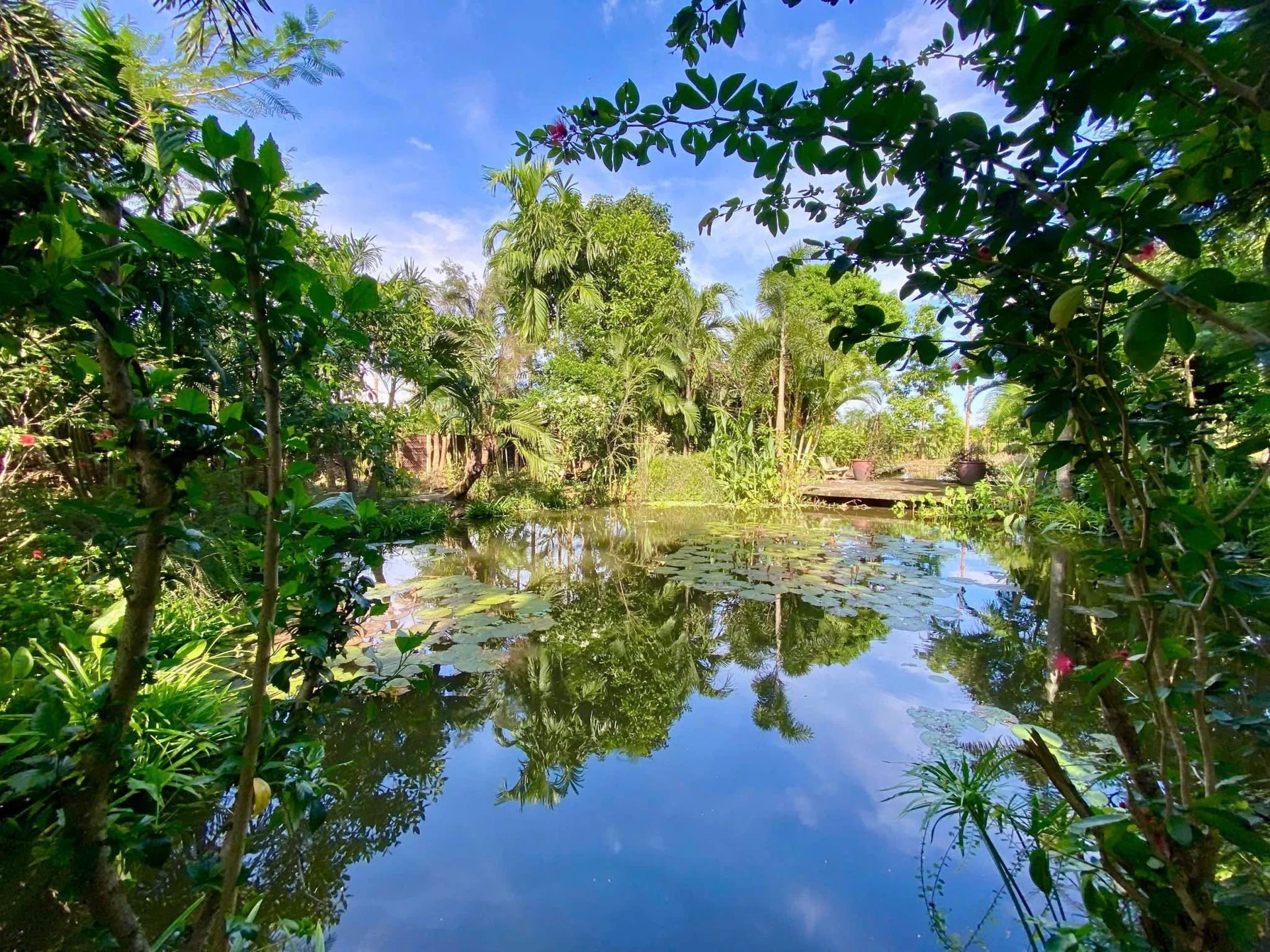Bán đất vườn 1919m² view kênh Chợ Gạo - Ảnh 1