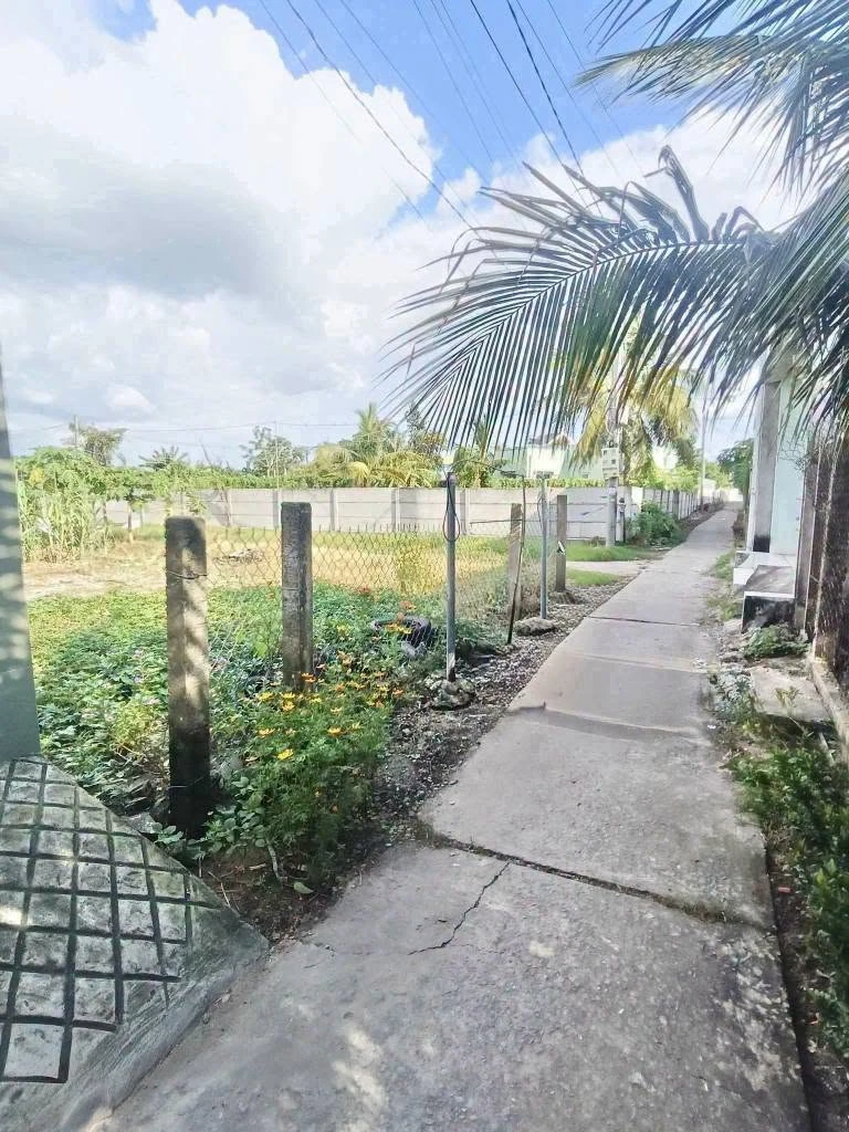 Bán đất thổ cư 4,4x26,2m hẻm 833 Nhơn Thạnh Trung, Phường Tân An, Tây Ninh giá 750 triệu - Ảnh thu nhỏ 3