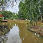 Bán farm sinh thái 7000m2 Đồng Xoài, Bình Dương - Ảnh thu nhỏ 1