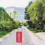 Bán đất mặt tiền Định Hoà 270m² Phường Chánh Hiệp 11 tỷ 5 - Ảnh thu nhỏ 3