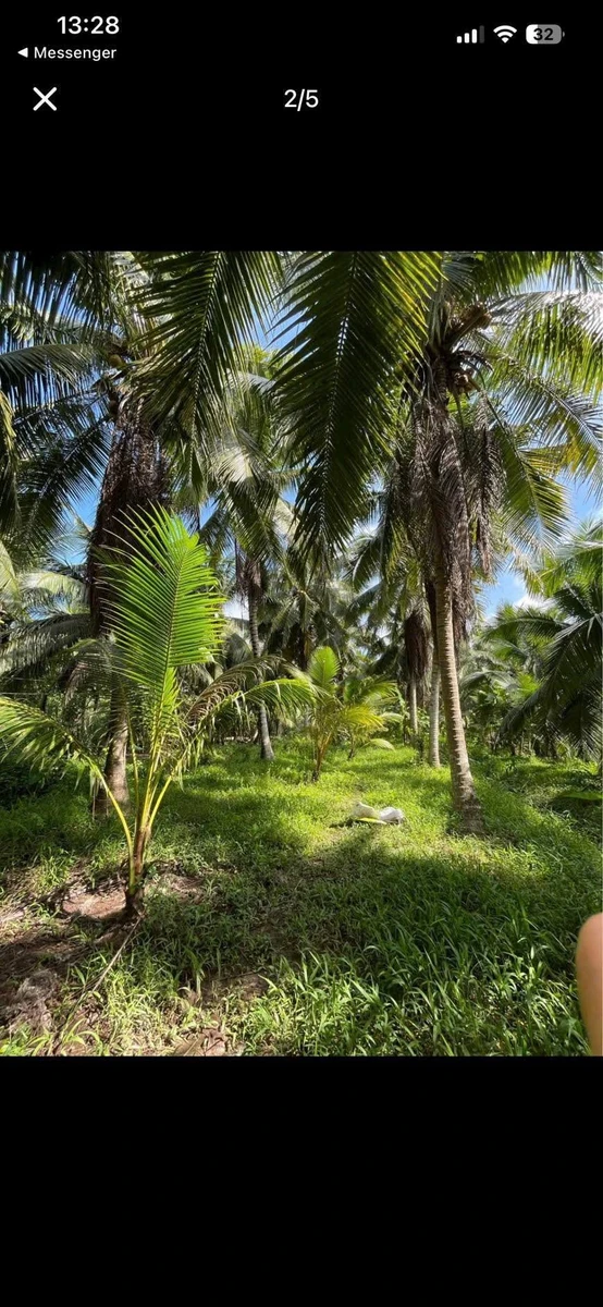 Bán đất 300m² Xã Tân Thanh Tây Nhà Bè 690 triệu - Ảnh thu nhỏ 3