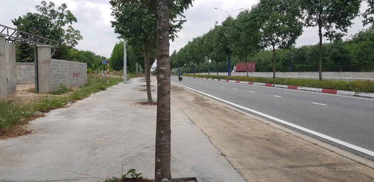Bán lô đất 1897m² 3 mặt tiền Mỹ Phước Bình Tân - Ảnh thu nhỏ 3