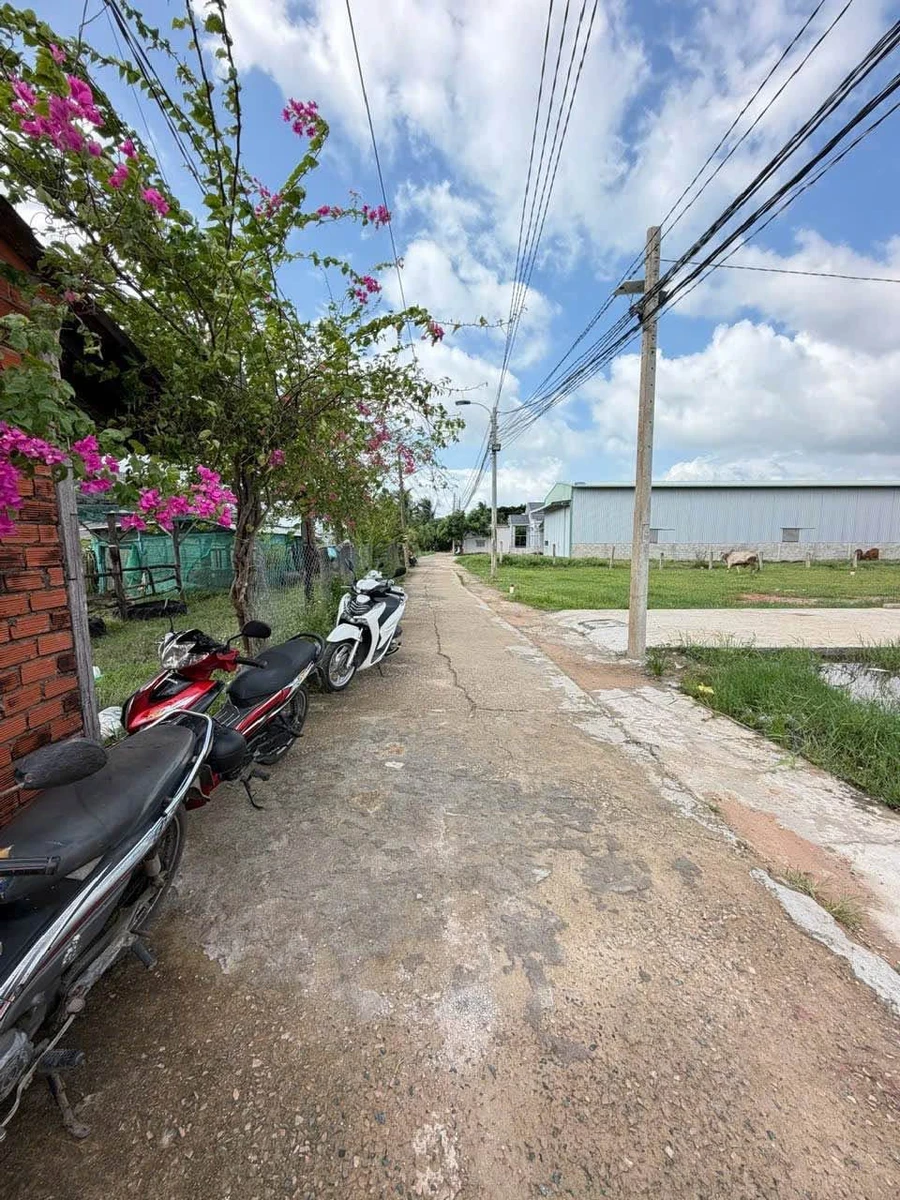 Bán đất nền thổ cư 100m² Phong Nẫm 650 triệu - Ảnh thu nhỏ 3