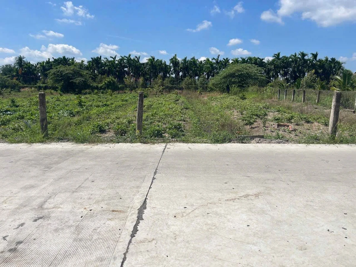 Bán đất thổ cư 5x39m giá 599 triệu tại xã Tầm Vu, Tây Ninh - Ảnh thu nhỏ 3