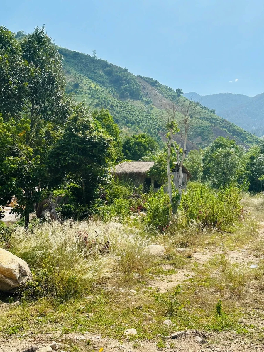Bán đất 10.000m2 thương mại dịch vụ Nha Trang 3,2 tỷ - Ảnh thu nhỏ 4