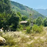 Bán đất 10.000m2 thương mại dịch vụ Nha Trang 3,2 tỷ - Ảnh thu nhỏ 4