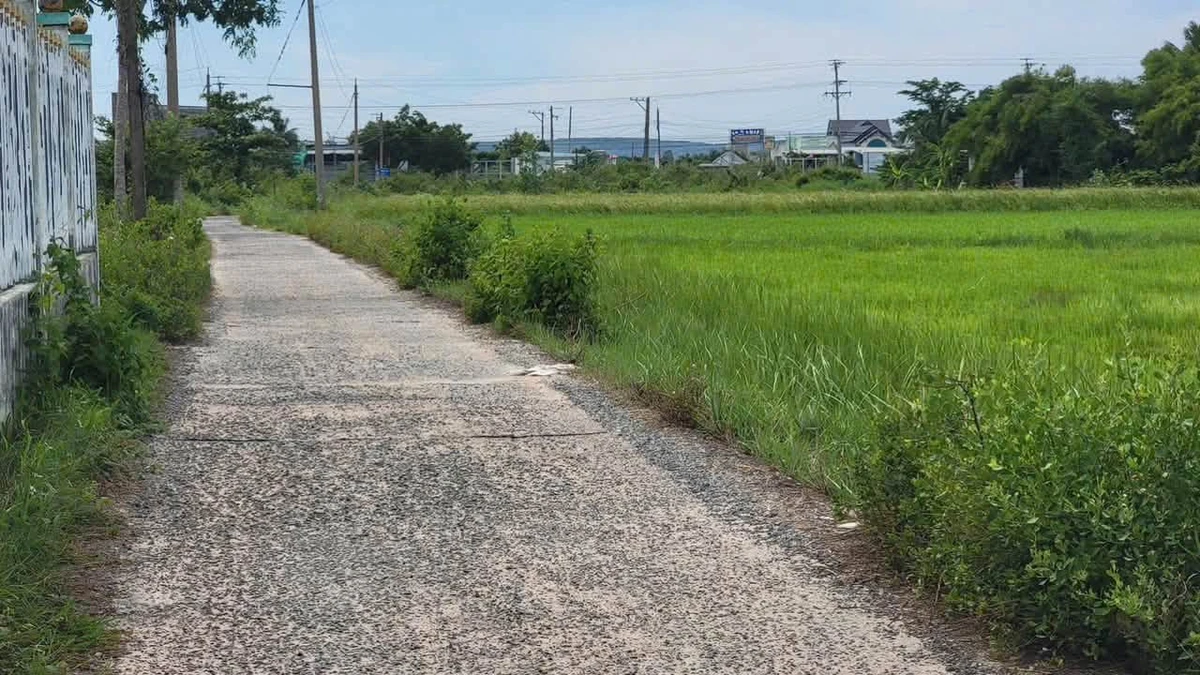 Bán đất thổ cư 100m² Hàm Liêm gần Phan Thiết 499 triệu - Ảnh thu nhỏ 2