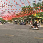 Bán đất mặt tiền Bùi Ngọc Thu 723,8m² - 10 tỷ Bình Dương - Ảnh thu nhỏ 1