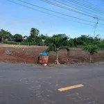 Bán đất gần chợ Long Tân 120m², đường nhựa - Ảnh thu nhỏ 1