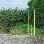 Bán 660m² đất CLN quy hoạch đất ở tại Phong Điền, TP Huế giá 99 triệu - Ảnh thu nhỏ 3