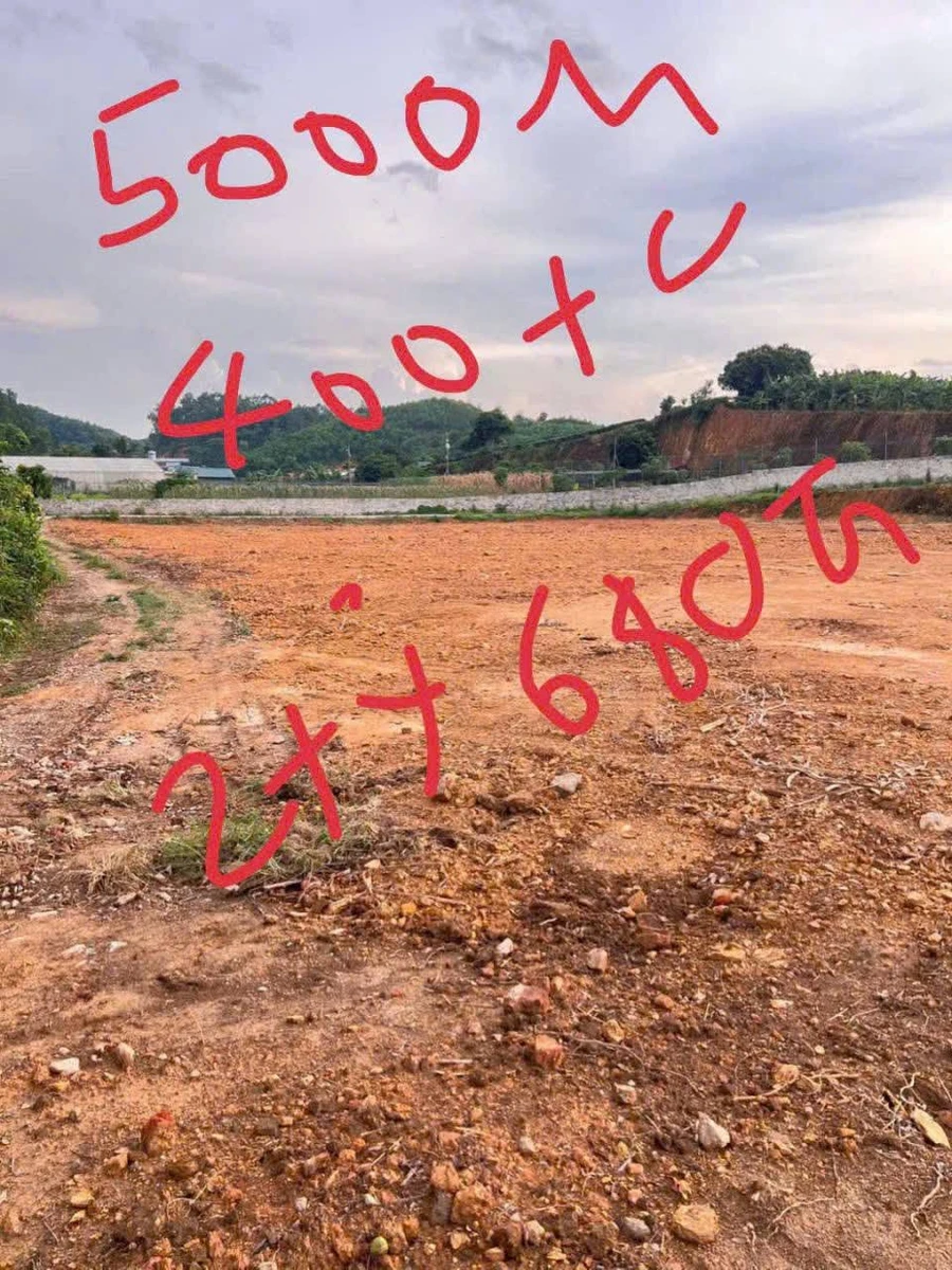 Bán đất nông nghiệp 5.000m² Khe Mo, Đồng Hỷ, Thái Nguyên - Ảnh thu nhỏ 4