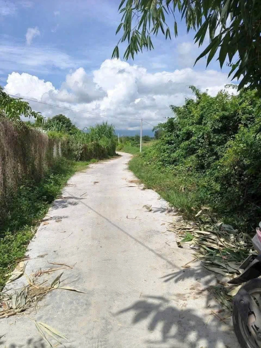 Bán đất thổ cư 1 sào tại Ma Lâm, Bình Thuận - 4 tỷ - Ảnh thu nhỏ 2