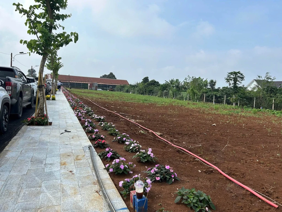 Bán lô đất Đức Trọng 135m² giá 1 tỷ 250 triệu - Ảnh thu nhỏ 4