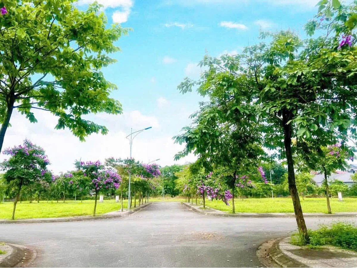 Bán đất 85m² tại Rever City Tam Nông, Phú Thọ - Ảnh thu nhỏ 3