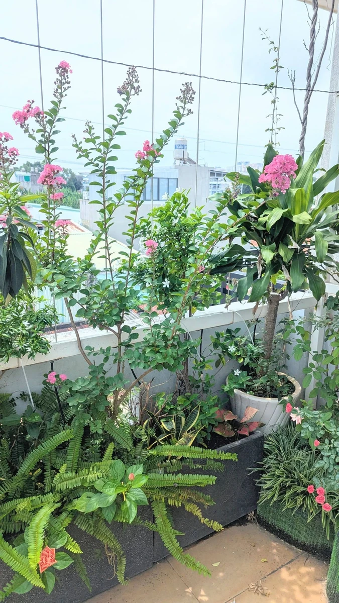 Nhà bán 3PN Rạch Dừa 88m2 mặt hẻm ô tô 5.5 tỷ - Ảnh thu nhỏ 3