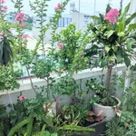 Nhà bán 3PN Rạch Dừa 88m2 mặt hẻm ô tô 5.5 tỷ - Ảnh thu nhỏ 3