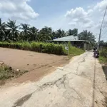 Bán đất thổ cư 200m2 Bình Phú Bến Tre 1 tỷ 390 - Ảnh thu nhỏ 2