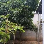 Bán nhà vườn mặt tiền đường số 9 Tân Hưng, 355m2, giá 3,8 tỷ, TP Bà Rịa - Ảnh thu nhỏ 5