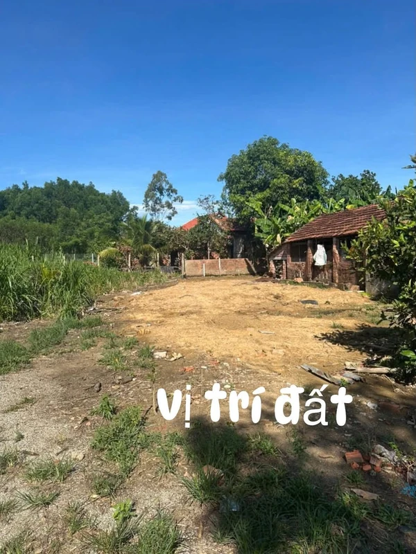 Bán đất 191m² (120m² đất ở, sổ hồng) giá 290 triệu tại thôn Ngũ Xã, xã Thăng Phú