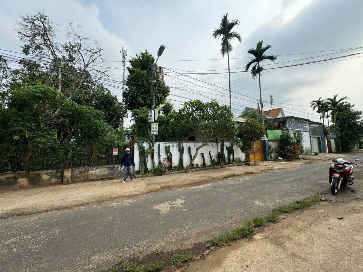 Bán 2 lô đất liền kề 200m² Buôn Ma Thuột 2,25 tỷ - Ảnh thu nhỏ 5