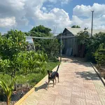 Bán nhà vườn 9.500m² tại Xã Bình Mỹ, Củ Chi - Ảnh thu nhỏ 1