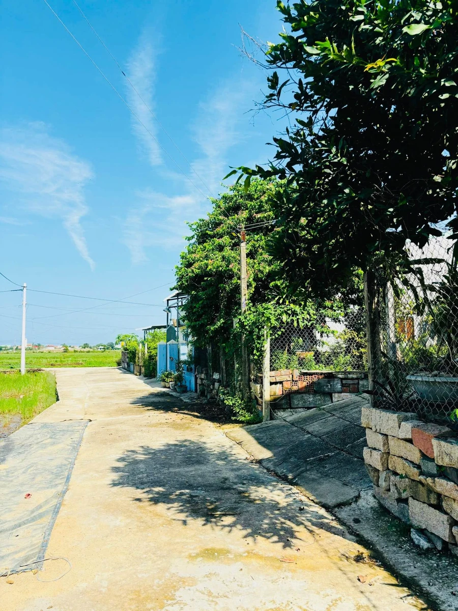 Bán 2 lô đất 63,9m2 và 70,4m2 Tuy Phước Bắc - Ảnh thu nhỏ 3