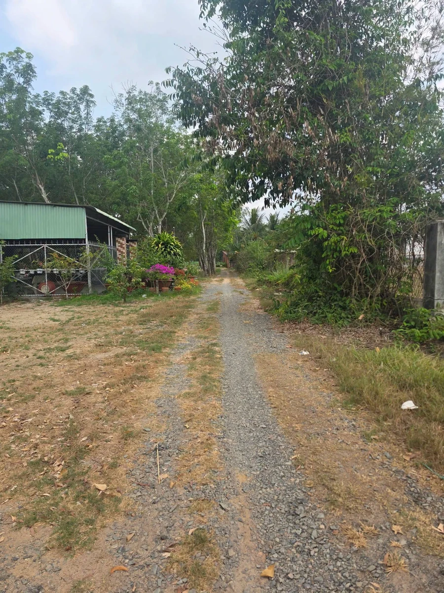 Bán đất 2800m² gần chợ Tân Phong, Tây Ninh - Ảnh thu nhỏ 2