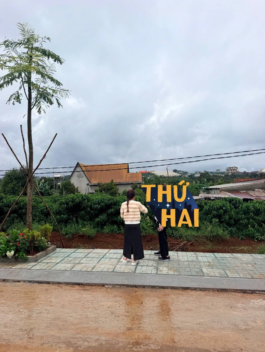 Bán đất nền 100m² Ngọc Trinh Tân Hà từ 579 triệu - Ảnh thu nhỏ 2
