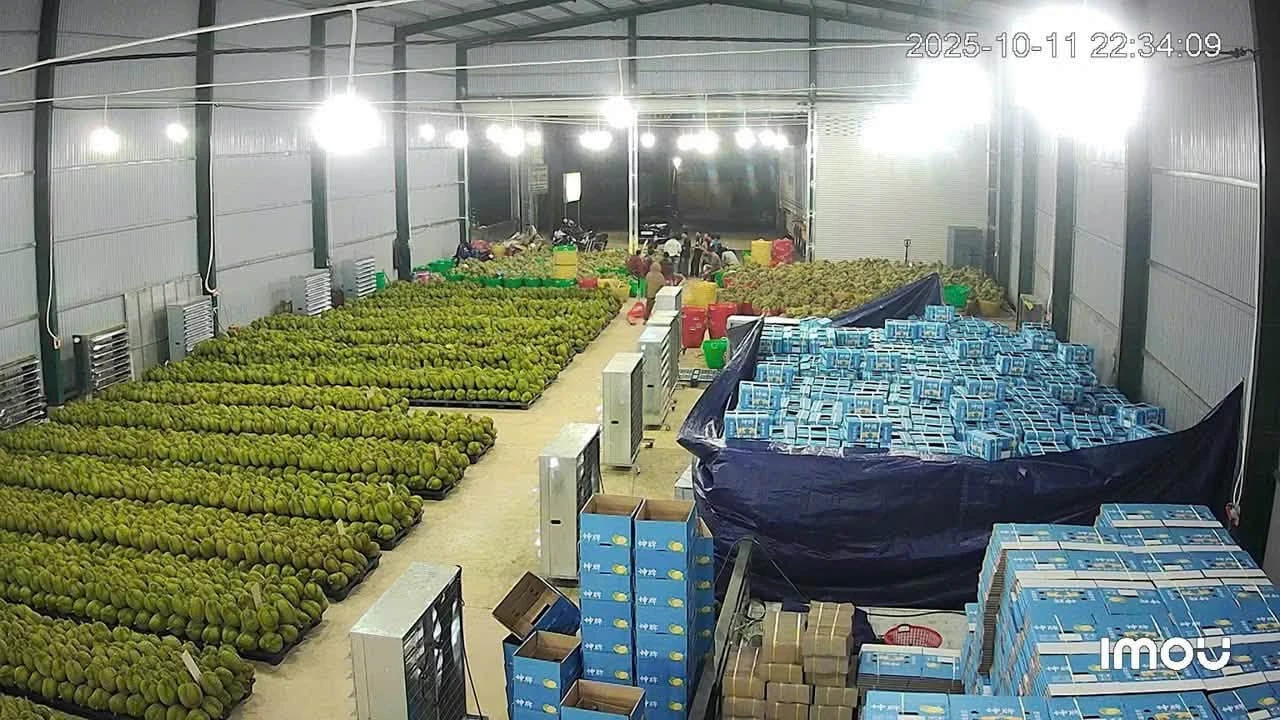 Bán kho mặt tiền Quốc lộ 14, Krông Búk, Đắk Lắk, 1400m2, giá 12 tỷ - Ảnh 1