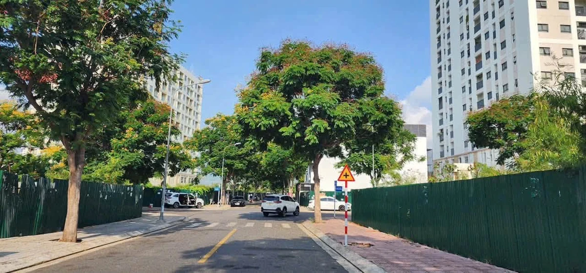Bán đất 108,9m2 đường số 15 Dương Thị Xuân Quý, giá 7,84 tỷ - Ảnh 1