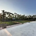 Gia đình cần bán mảnh đất 95m2 full thổ cư mặt tiền 6,8m giá 1 tỷ tại Bạch Long - Ảnh thu nhỏ 1