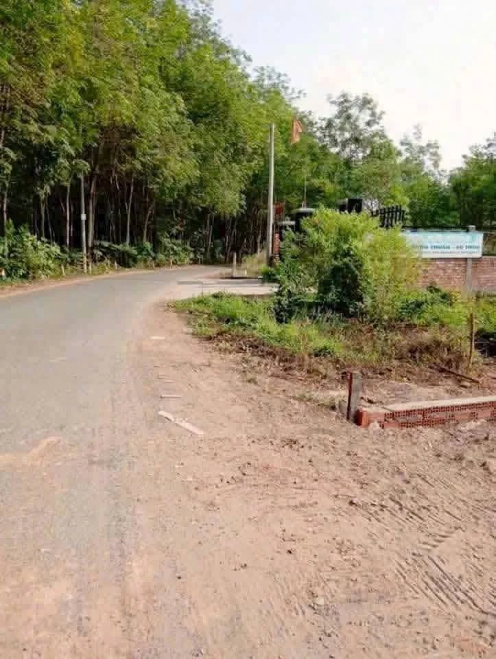 Bán lô đất 500m² đường Phú An 024, Bến Cát, Bình Dương - 1.55 tỷ - Ảnh thu nhỏ 3