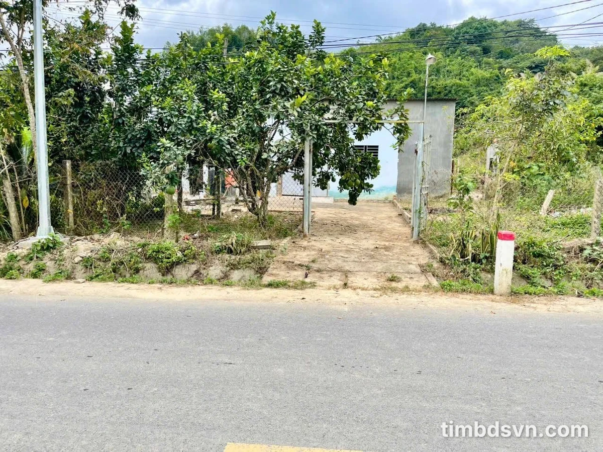 Bán đất mặt tiền TL2 Diên Thọ 500m², 1,1 tỷ - Ảnh thu nhỏ 2