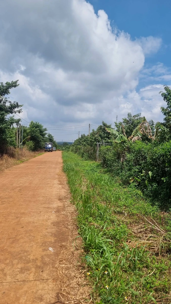 Bán đất nền 1,7ha mặt tiền 124m Bù Đăng, Bình Phước - Ảnh thu nhỏ 2