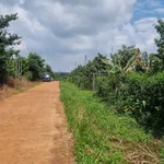 Bán đất nền 1,7ha mặt tiền 124m Bù Đăng, Bình Phước - Ảnh thu nhỏ 2