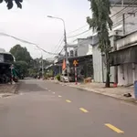 Bán đất Tân Triều Bình Chánh 152m2 sổ riêng 2 tỷ 450 triệu - Ảnh thu nhỏ 1