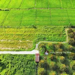 980tr, 1000m2 có thổ cư gần hết đất, gần dự án KCN Hiệp Thạnh, đường bê tông - Ảnh thu nhỏ 7
