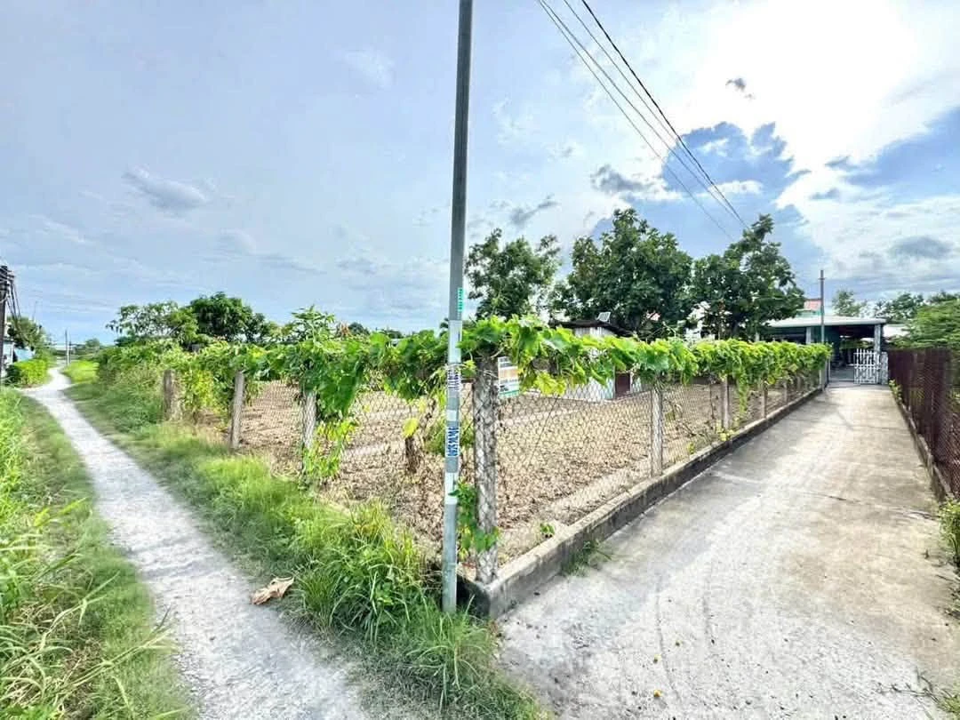 Bán đất vườn 489m² Mỹ Lộc, Tây Ninh 1.4 tỷ - Ảnh thu nhỏ 2