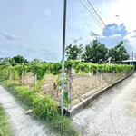 Bán đất vườn 489m² Mỹ Lộc, Tây Ninh 1.4 tỷ - Ảnh thu nhỏ 2