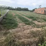 Bán đất 124m2 mặt tiền đường đất đỏ 6m tại xã Tân Phong, Tây Ninh giá 288 triệu - Ảnh thu nhỏ 1