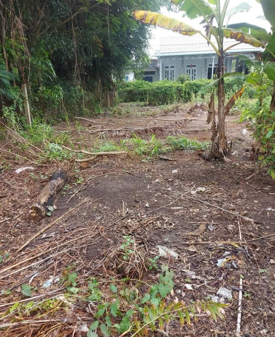 Bán lô đất 500m² thổ cư Long An, gần KCN Nhựt Chánh - Ảnh thu nhỏ 2