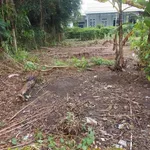 Bán lô đất 500m² thổ cư Long An, gần KCN Nhựt Chánh - Ảnh thu nhỏ 2