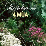 Quỹ đầu tư Giá chỉ từ 6,7 tỷ. Ngon bổ rẻ chỉ đúng 05 căn diện tích từ 350m2-510m2. LH: 0866 195 *** - Ảnh thu nhỏ 11