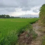 Bán gấp gần 4 công đất nền Rạch Giá, Kiên Giang - Ảnh thu nhỏ 2