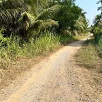 Bán 1200m² đất tại Xã Tân Xuân, Ba Tri, Bến Tre - Ảnh thu nhỏ 1